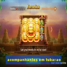 acompanhantes em tubarao